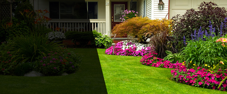 Broomall Landscapers